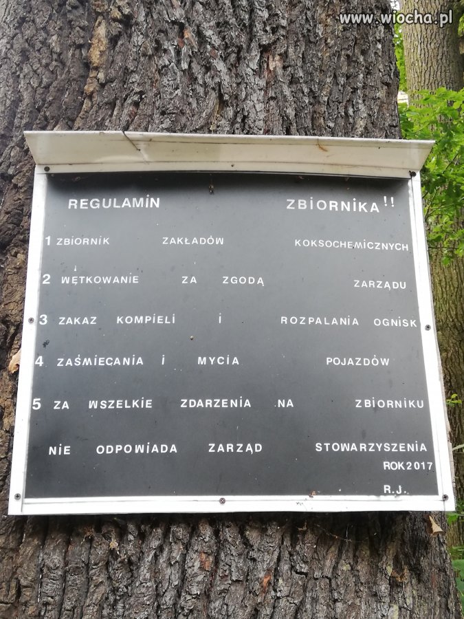 Radlin zbiornik Zauer