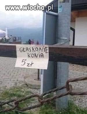 I biznes kwitnie  