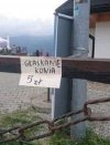 I biznes kwitnie  