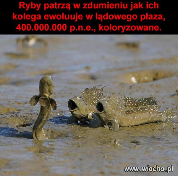 Tak było?