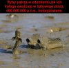 Tak było?