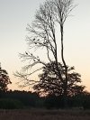 Polska natura