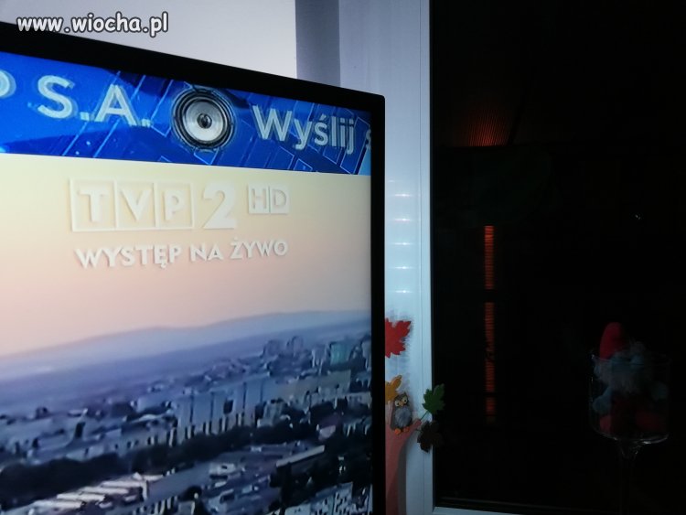 TVP 2 Na żywo 