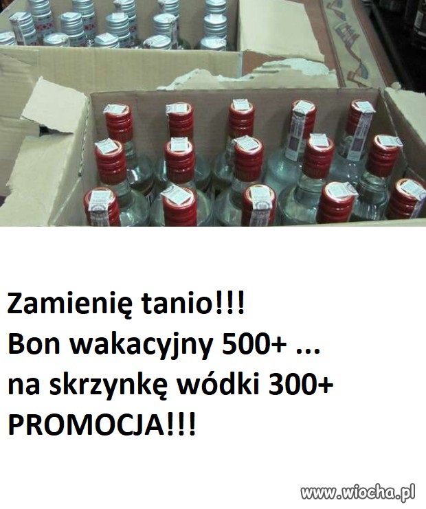 Handelek już kwitnie