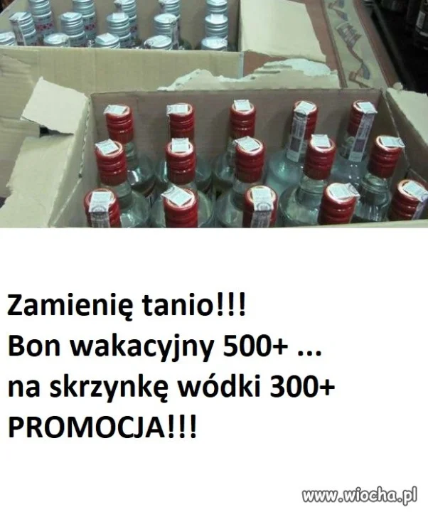 Handelek już kwitnie