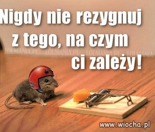 Przyj do celu 