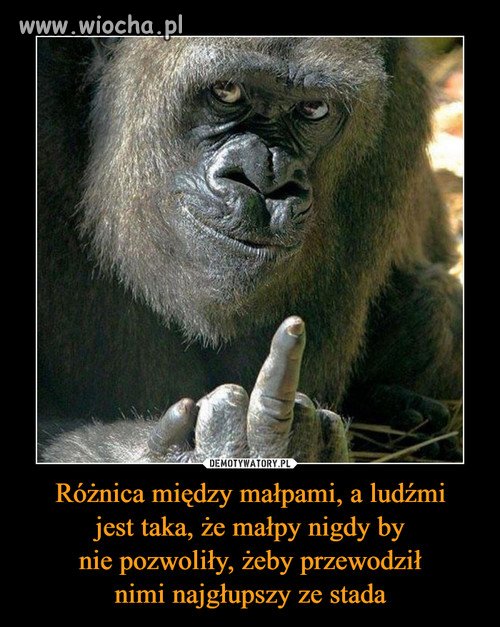 Tyle w temacie