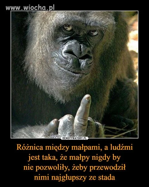 Tyle w temacie