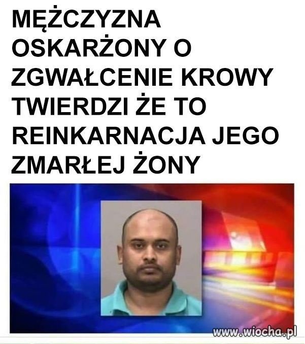 Tyle w temacie