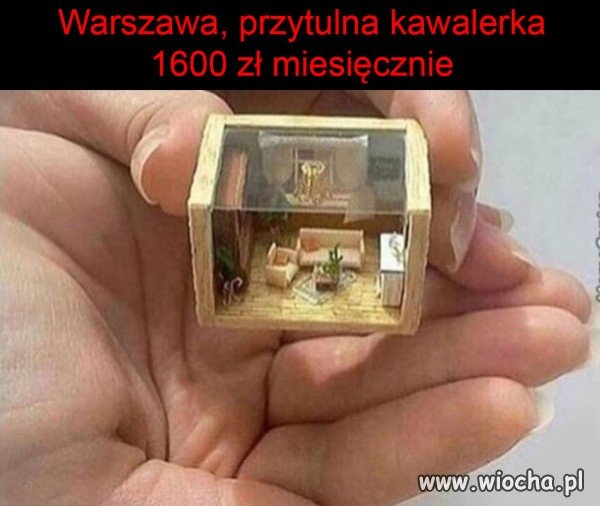Ktoś szuka mieszkania?