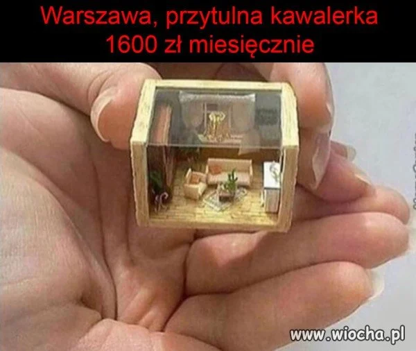 Ktoś szuka mieszkania?
