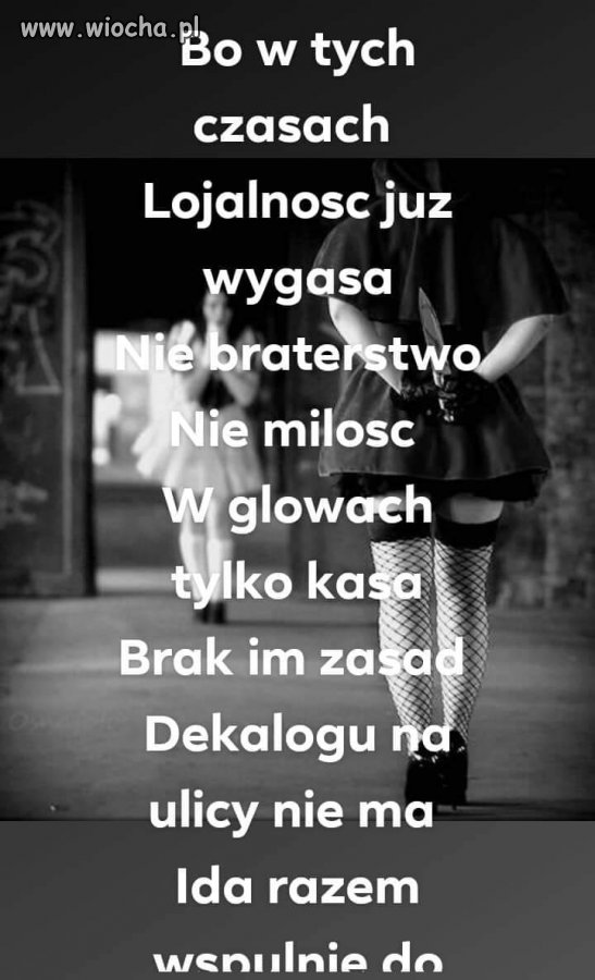 Zagubieni w hajsie 
