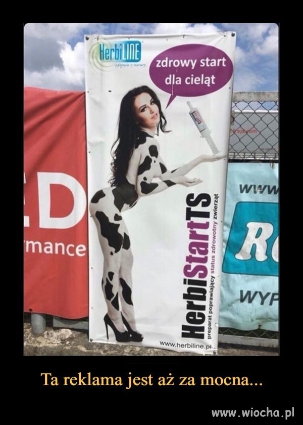 Reklama dźwignią handlu 