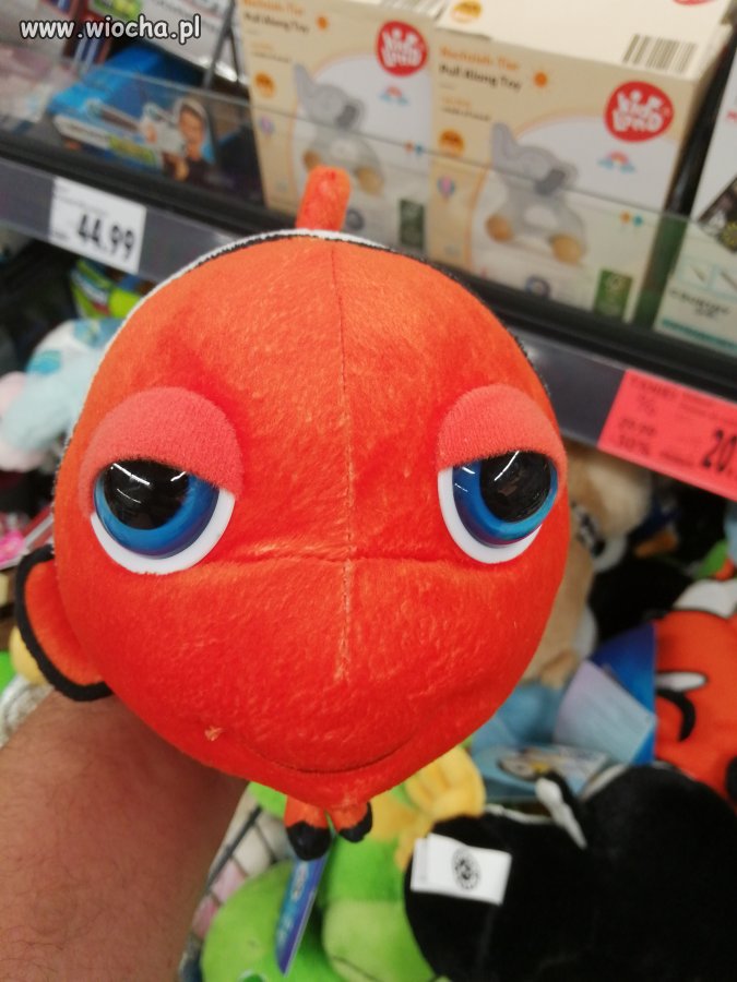Nemo na haju 