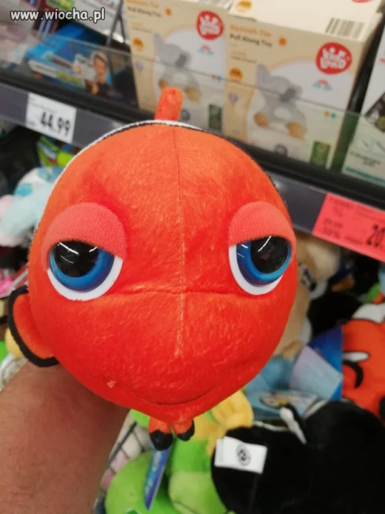 Nemo na haju 