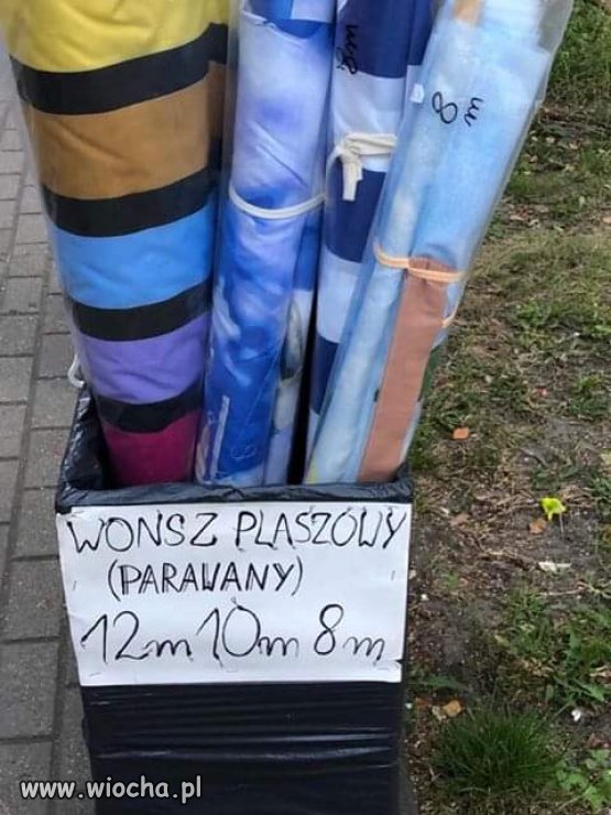 Dziki wonsz...