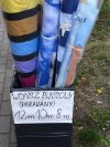 Dziki wonsz...