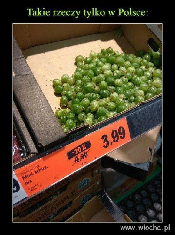 Made in Poland