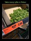 Made in Poland