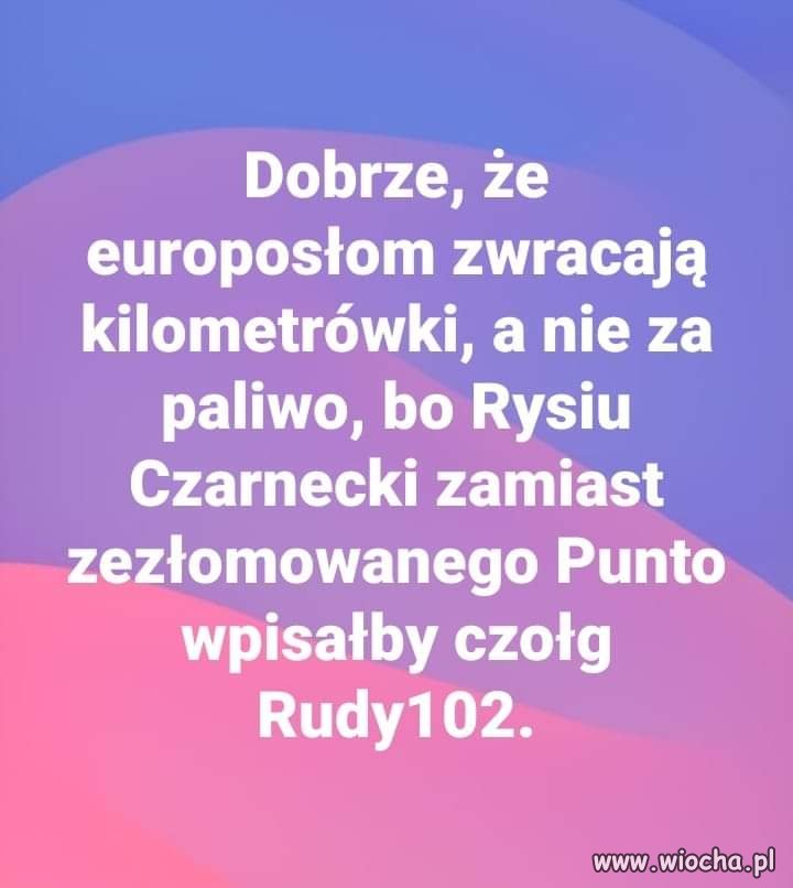 Cały Rysiu