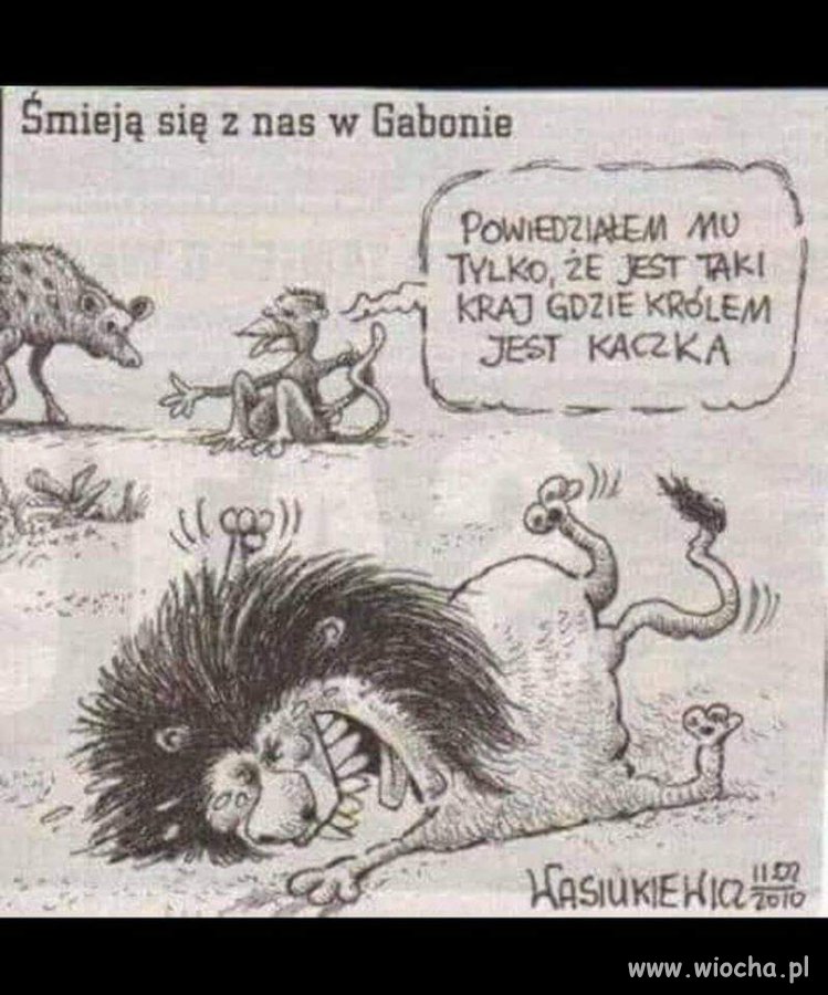 Kaczka 
