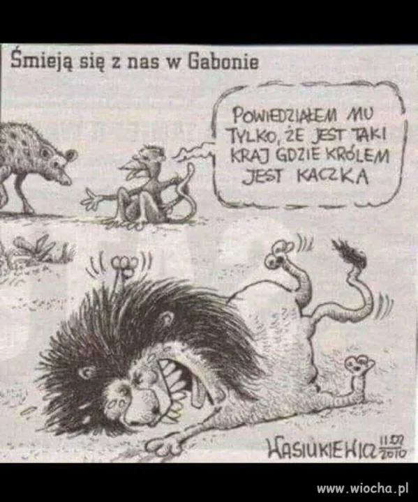 Kaczka 