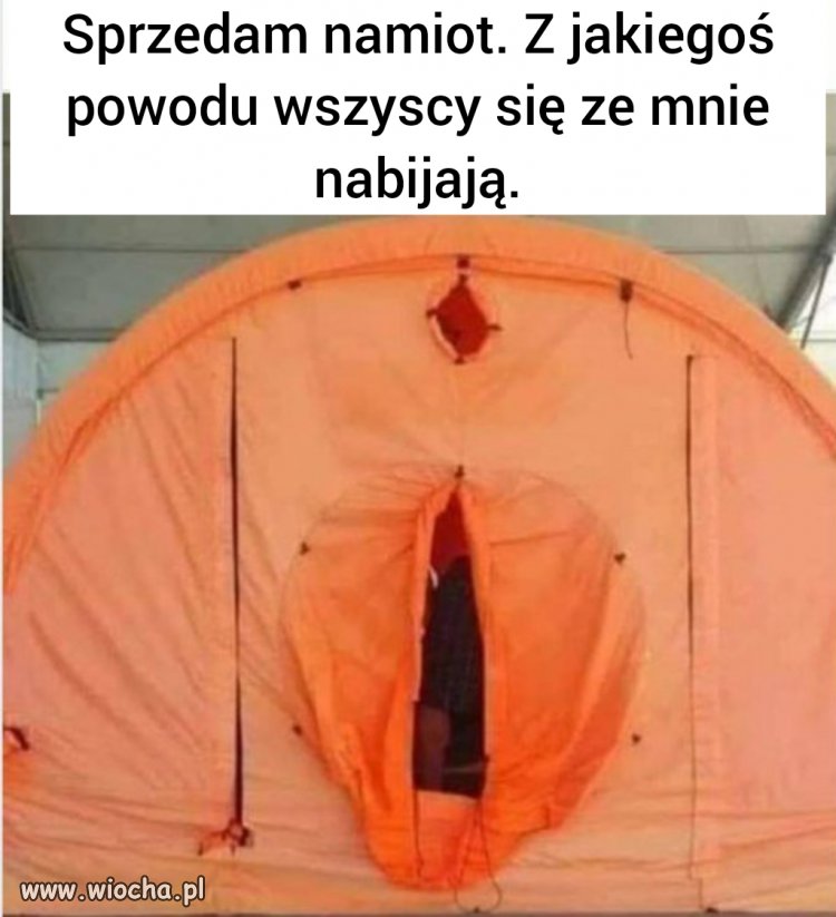 Ogłoszenia