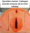 Ogłoszenia