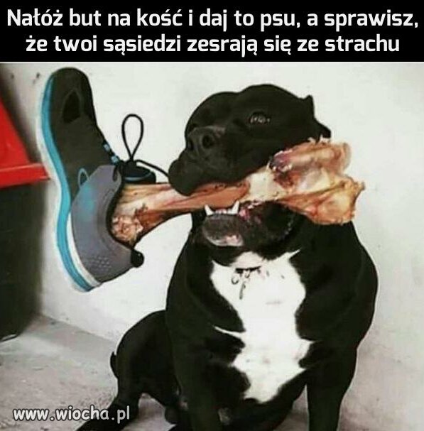 Sposób na sąsiadów 