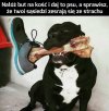 Sposób na sąsiadów 