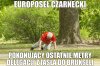 Z cyklu Delegacje Czarneckiego