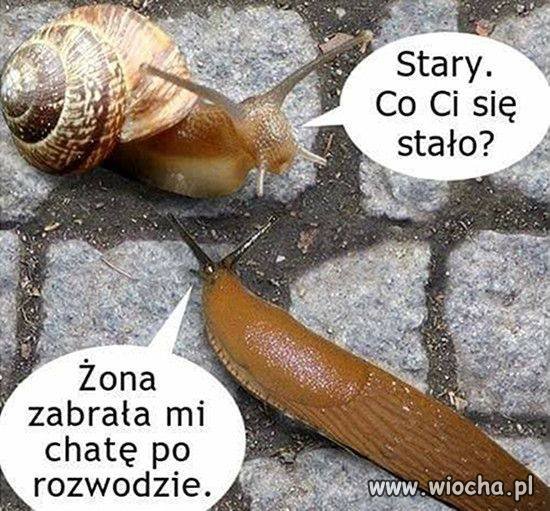 Kobiety podobne są do tornada