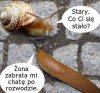 Kobiety podobne są do tornada