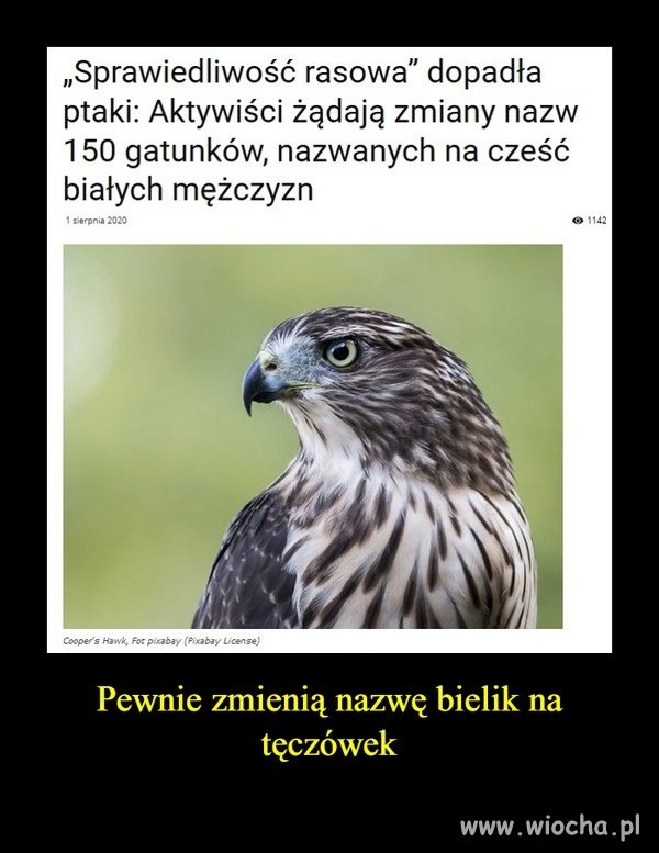 Rasistowskie ptaki ?
