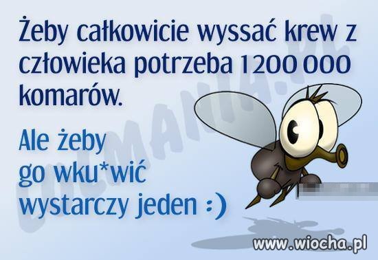 Jeden mały upierdliwiec 
