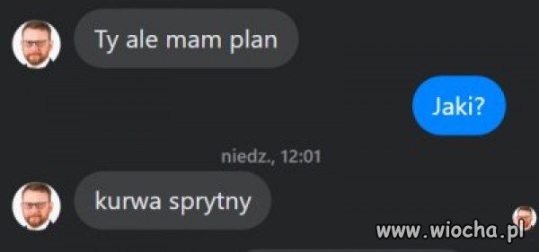 Szumi las w polskiej krainie