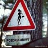 Heheszki