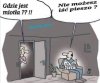 Nie wszystkie kobiety to czarownice