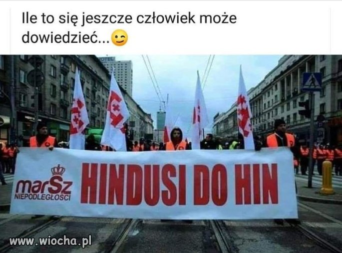 Odrazu widać yntelygentny elektorat PiS