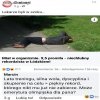 Trening czyni mistrza