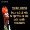 Kapitalizm po PiSowsku 