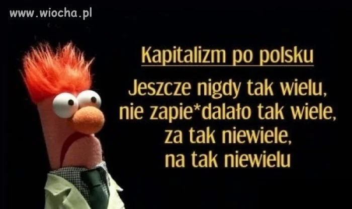 Kapitalizm po PiSowsku 