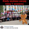 Gdzie są ci debile?