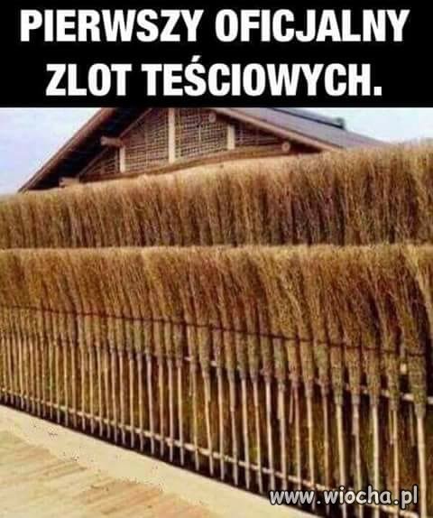 Zlot teściowych
