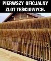 Zlot teściowych