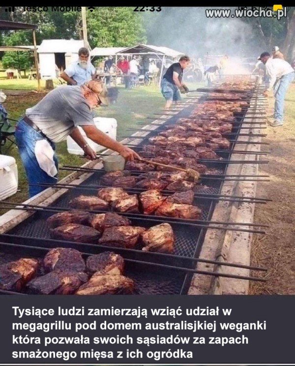 Zemsta
