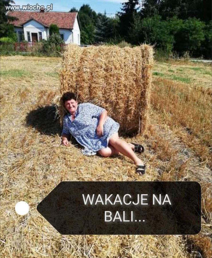 Wakacje, wakacje i...