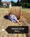 Wakacje, wakacje i...