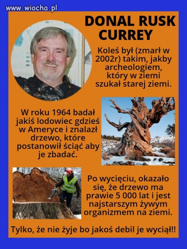 Krótkie ciekawostki 