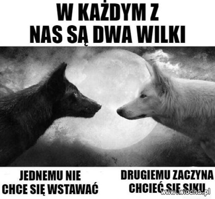 To takie prawdziwe 
